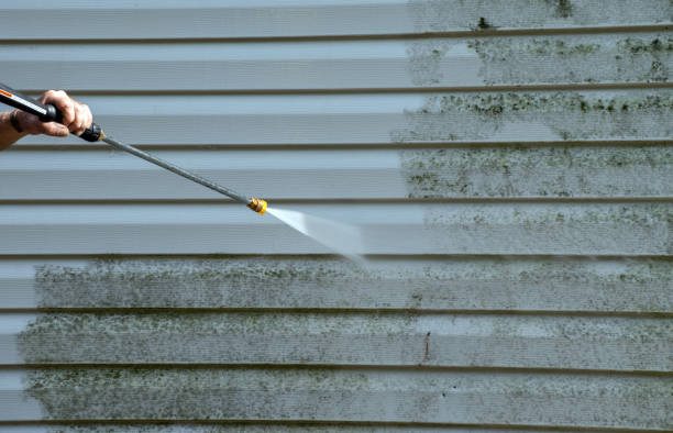 Trusted Capac, MI Pressure Washing Services Experts
